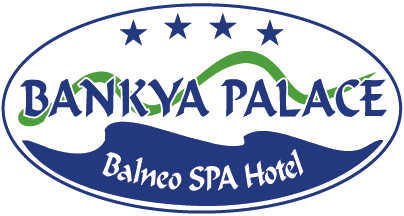Банкя Палас